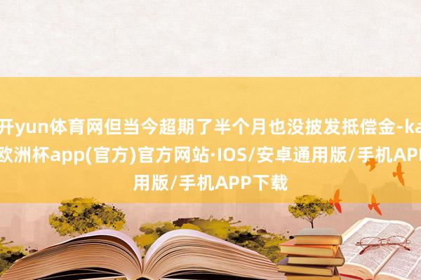 开yun体育网但当今超期了半个月也没披发抵偿金-kaiyun欧洲杯app(官方)官方网站·IOS/安卓通用版/手机APP下载