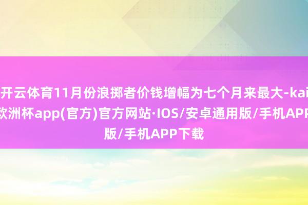 开云体育11月份浪掷者价钱增幅为七个月来最大-kaiyun欧洲杯app(官方)官方网站·IOS/安卓通用版/手机APP下载