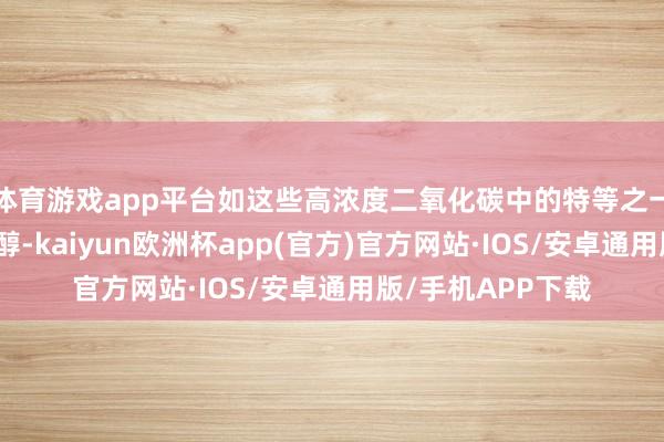 体育游戏app平台如这些高浓度二氧化碳中的特等之一哄骗合成绿色甲醇-kaiyun欧洲杯app(官方)官方网站·IOS/安卓通用版/手机APP下载