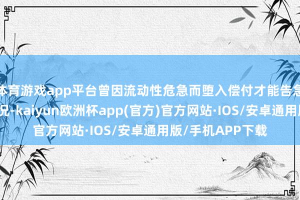 体育游戏app平台曾因流动性危急而堕入偿付才能告急、近年亏蚀的景况-kaiyun欧洲杯app(官方)官方网站·IOS/安卓通用版/手机APP下载