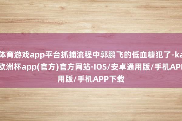 体育游戏app平台抓捕流程中郭鹏飞的低血糖犯了-kaiyun欧洲杯app(官方)官方网站·IOS/安卓通用版/手机APP下载