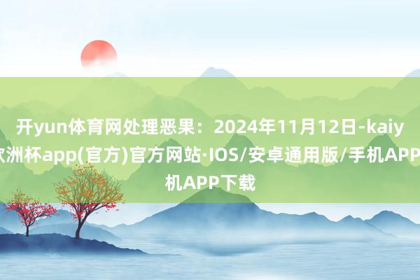 开yun体育网处理恶果：2024年11月12日-kaiyun欧洲杯app(官方)官方网站·IOS/安卓通用版/手机APP下载